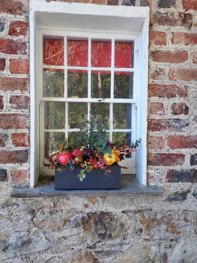 Lynam Cottage Ashford Esterno foto